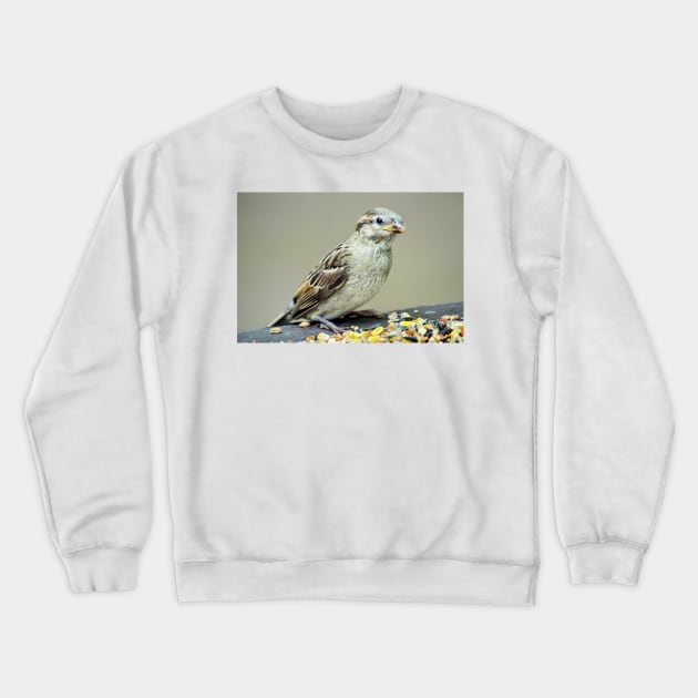 Sparrow Crewneck Sweatshirt by LaurieMinor